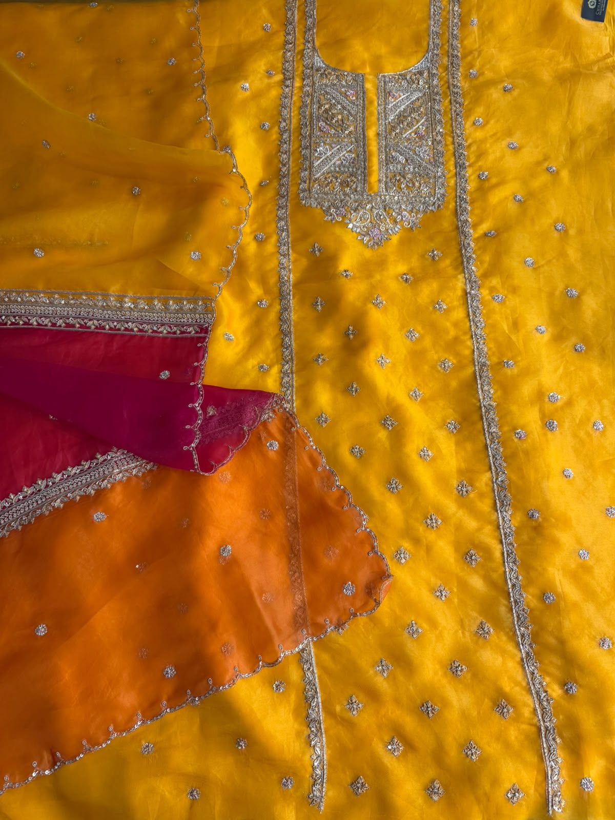 Neer Shimmer Organza Silk Suit-Dupatta