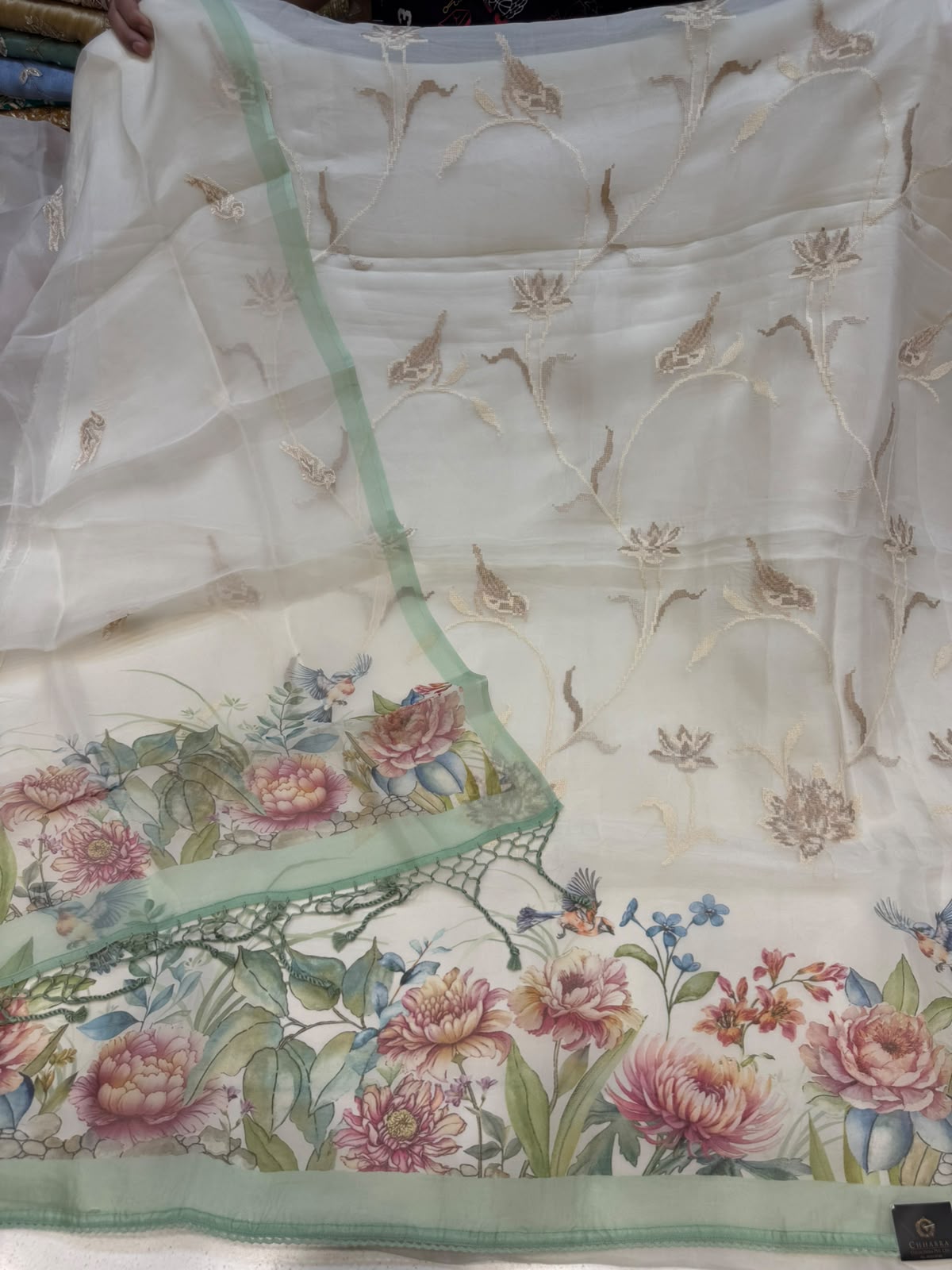 Neer Cream Organza Suit Dupatta