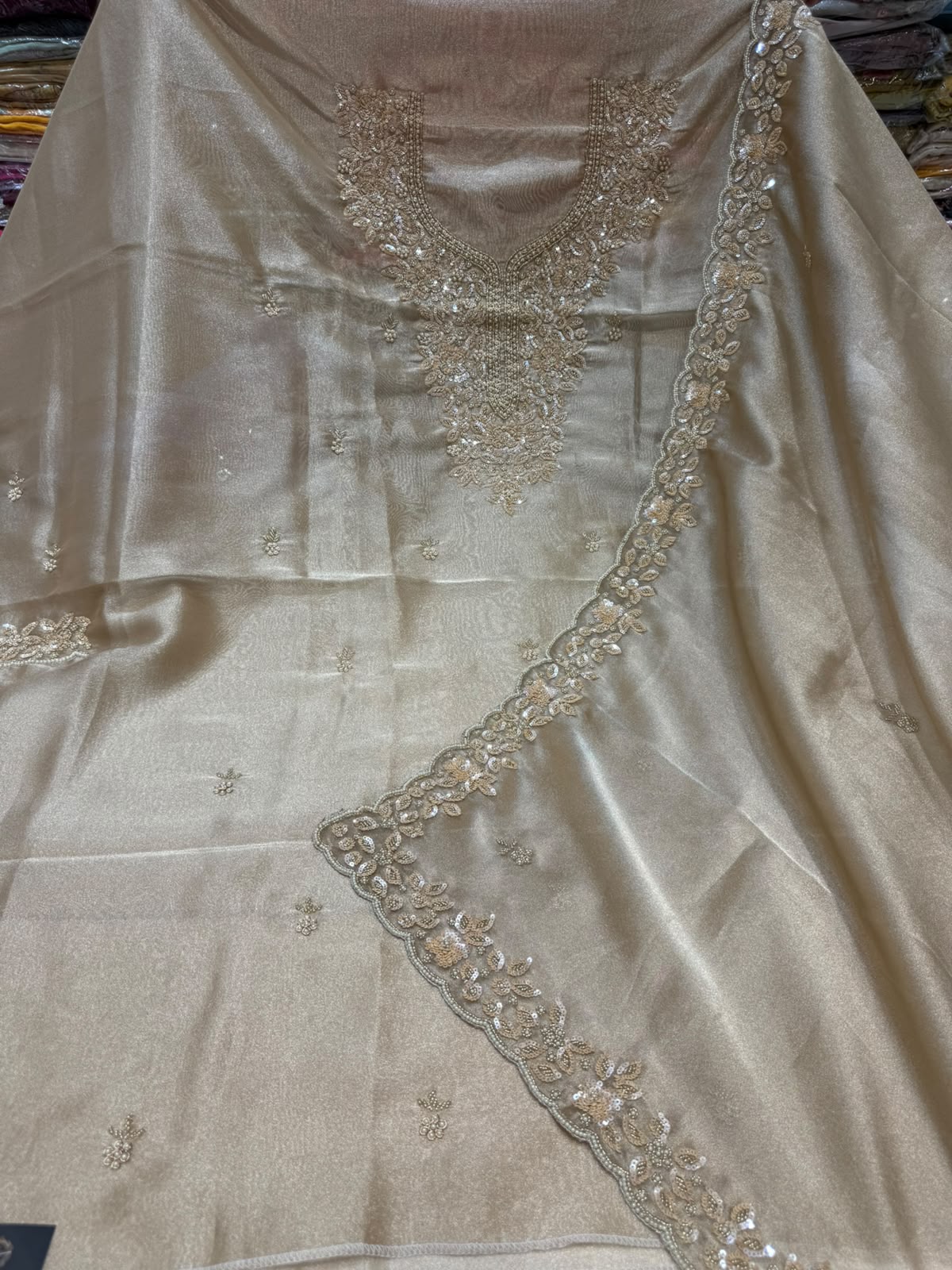 Neer Beige Tissue Silk Suit-Dupatta