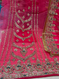 Neer Bright Pink Pure Organza Silk Suit-Dupatta