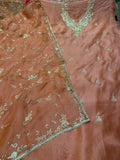 Neer Organza Silk Suit Dupatta