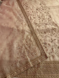 Neer Organza Suit Dupatta
