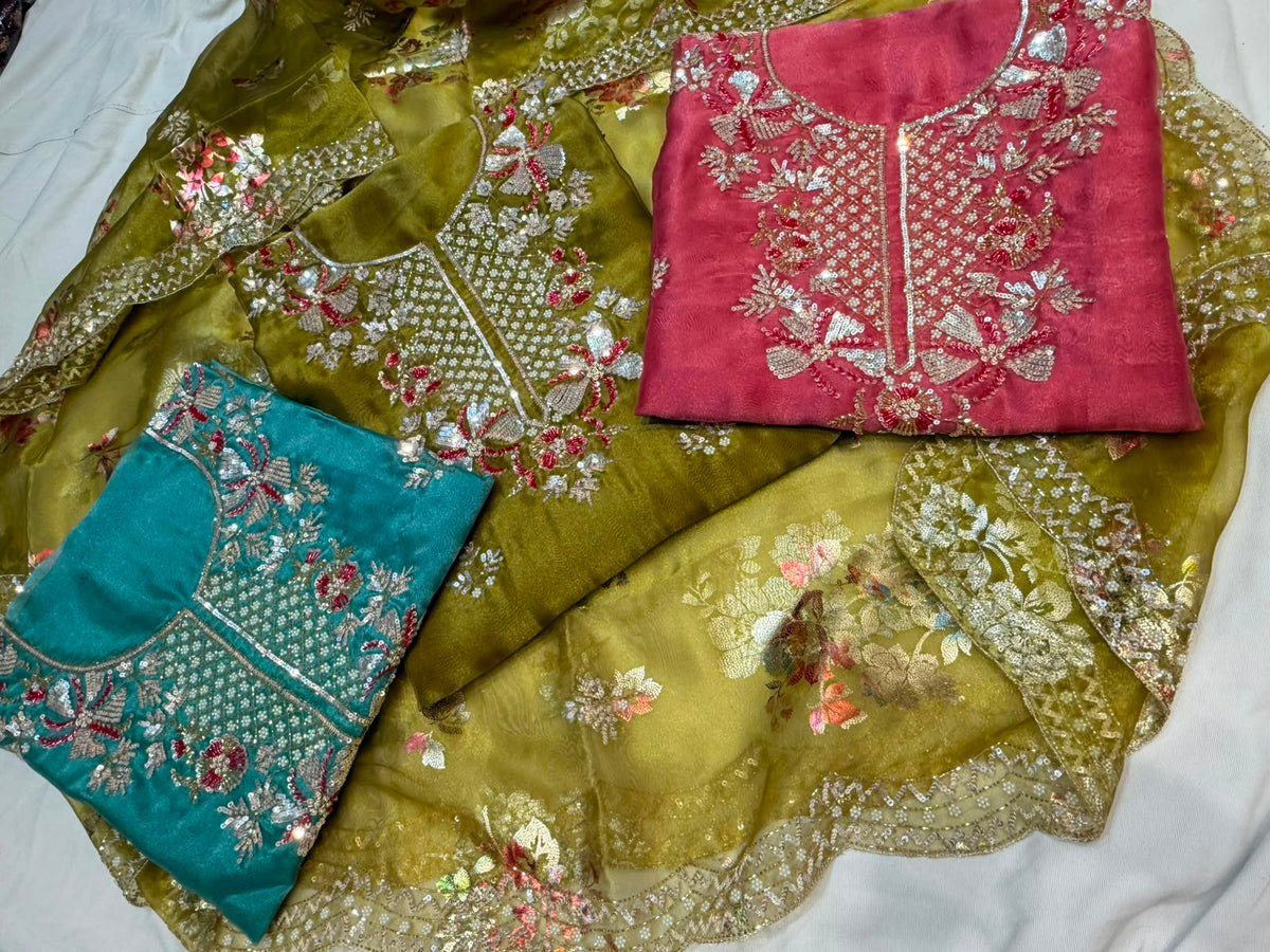 Neer Pure Organza Suit Set with Dupatta