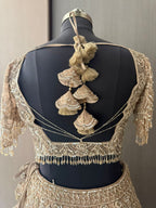 Nyraa Beige & Gold Embroidered Lehenga Choli